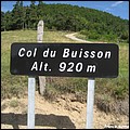 07 Buisson.JPG